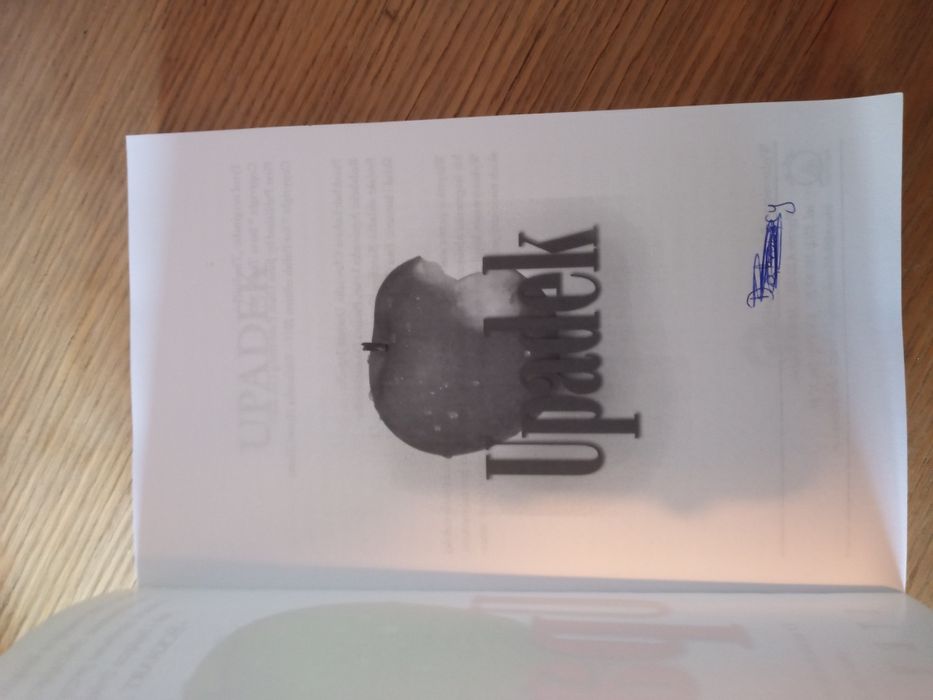 Upadek. Steve Taylor