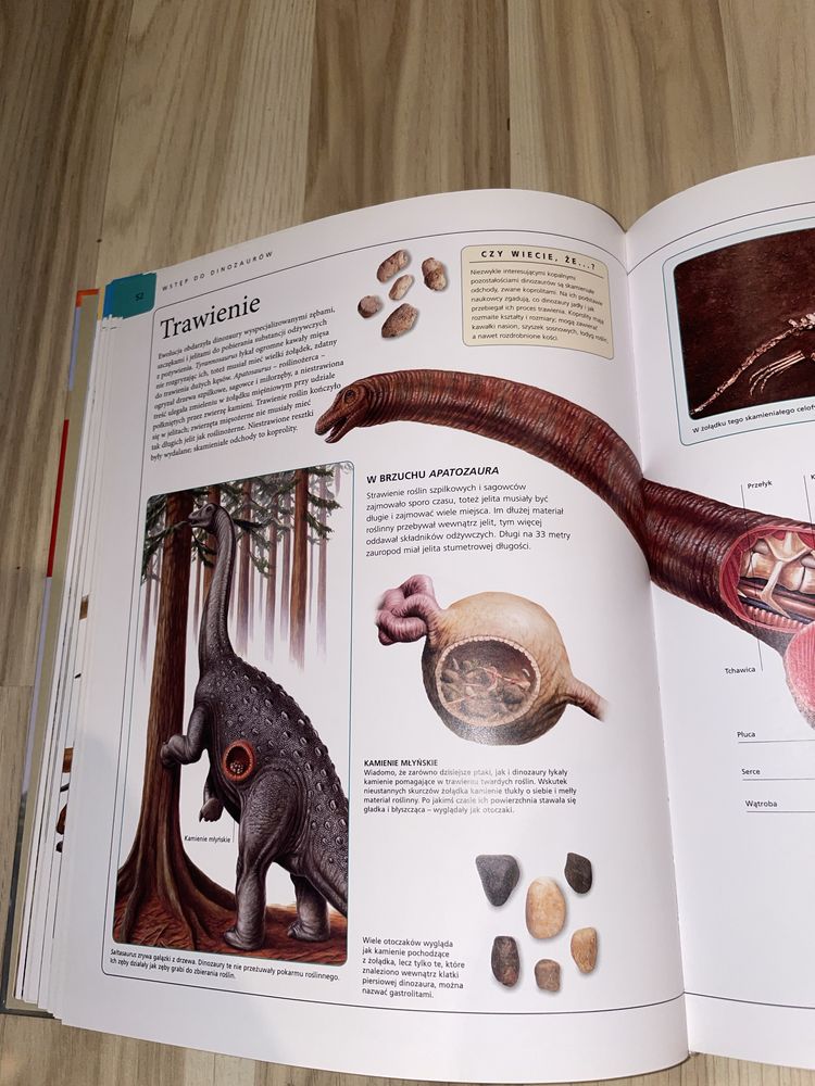 Encyklopedia Dinozaury