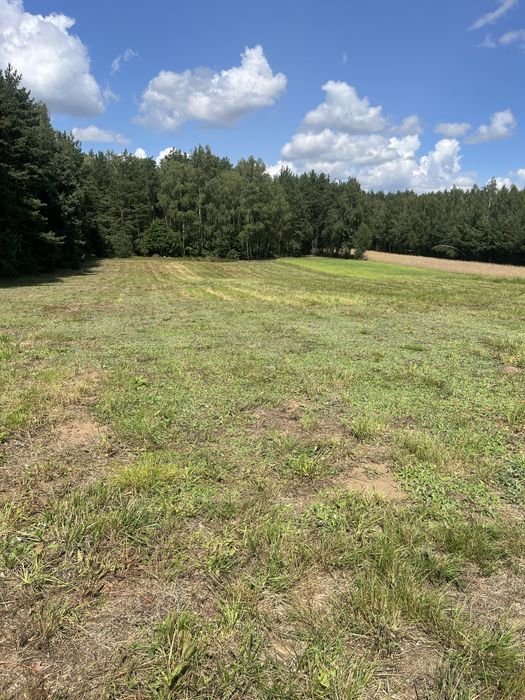 Działka rolno-budowlana 0,94 ha Bacze Mokre