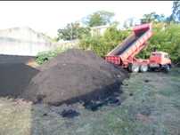 Aceito terra preta