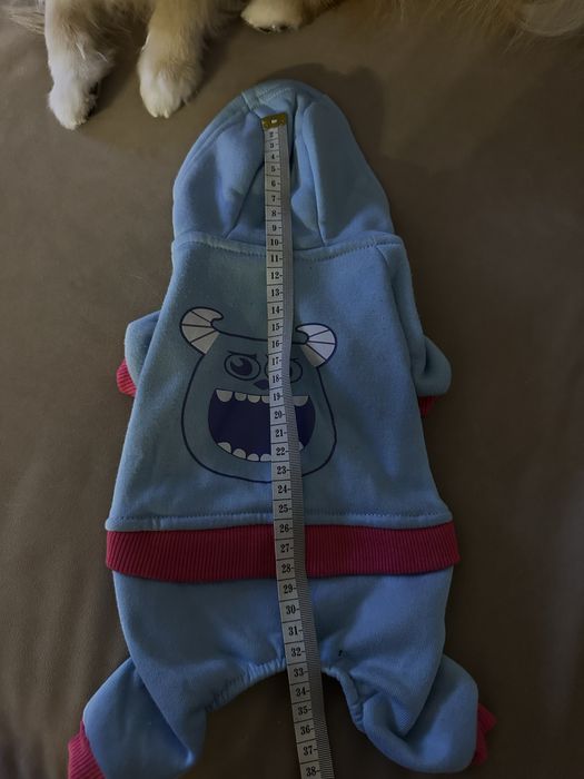 Одяг для собак.