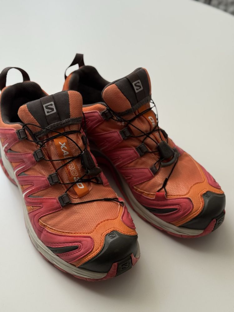 Salomon XA PRO 3D GTX 26 см