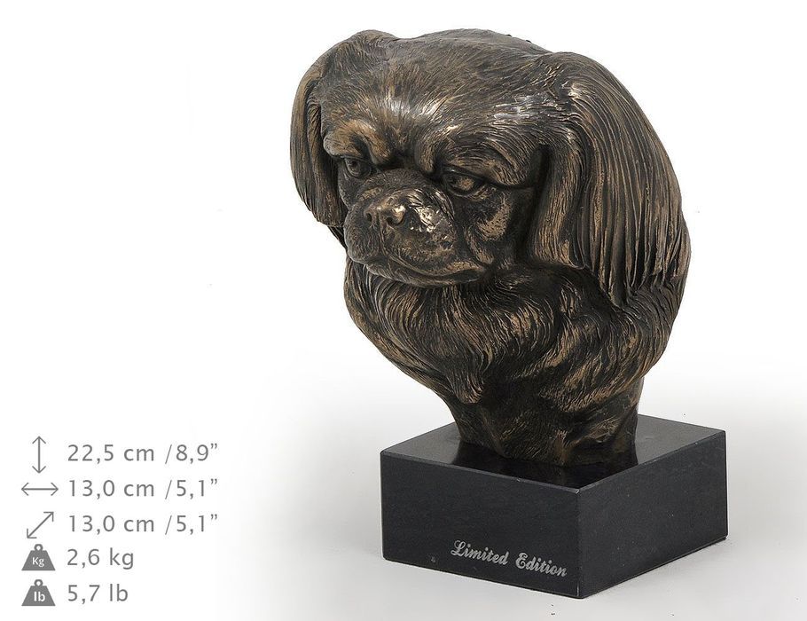 Spaniel tybetański głowa na kamieniu Art-Dog