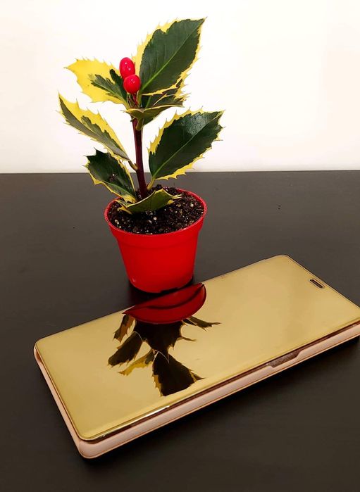 Capa tipo livro espelhada disponível para vários modelos de telemóvel