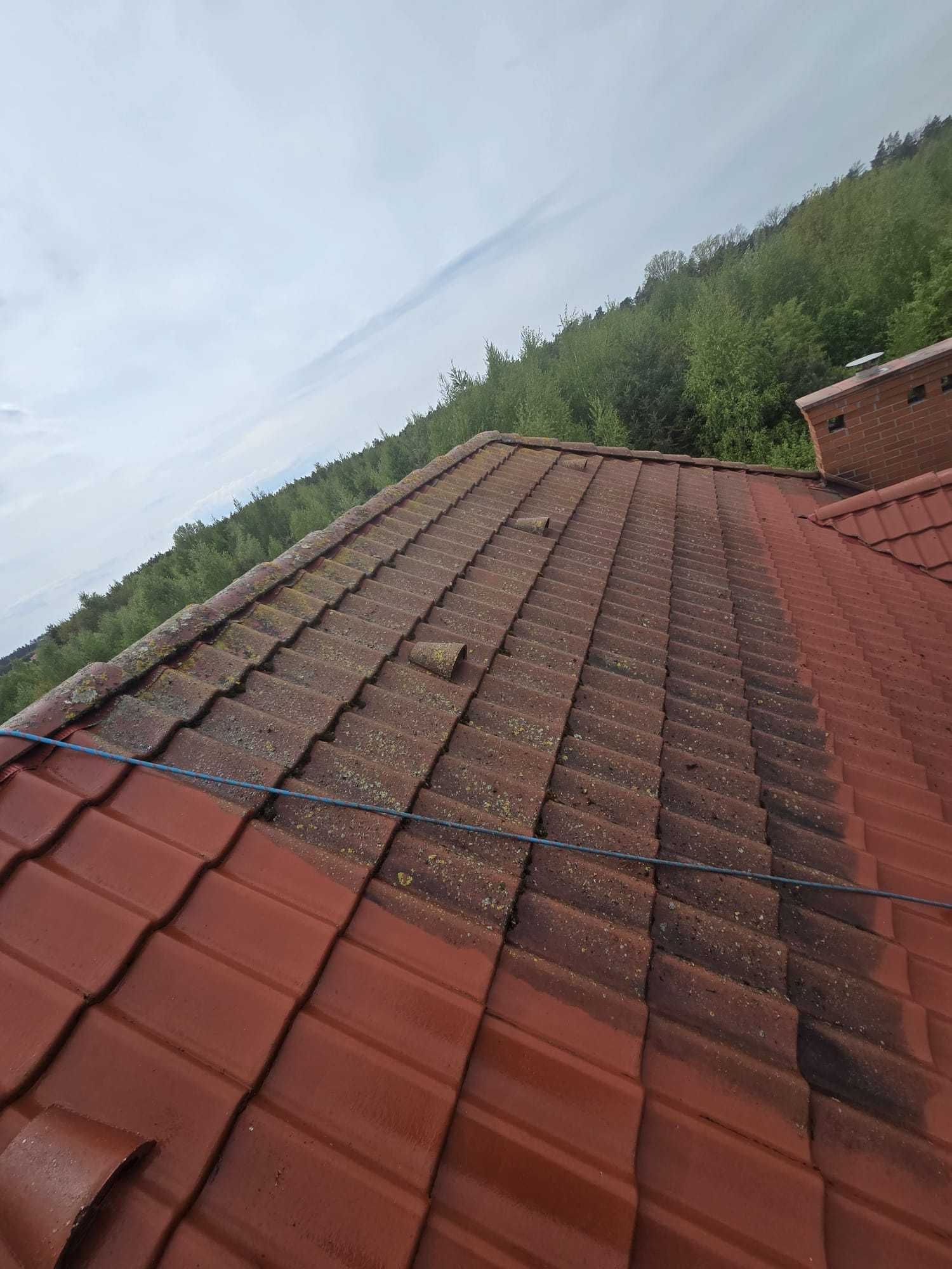 Mycie dachów gorącą wodą !