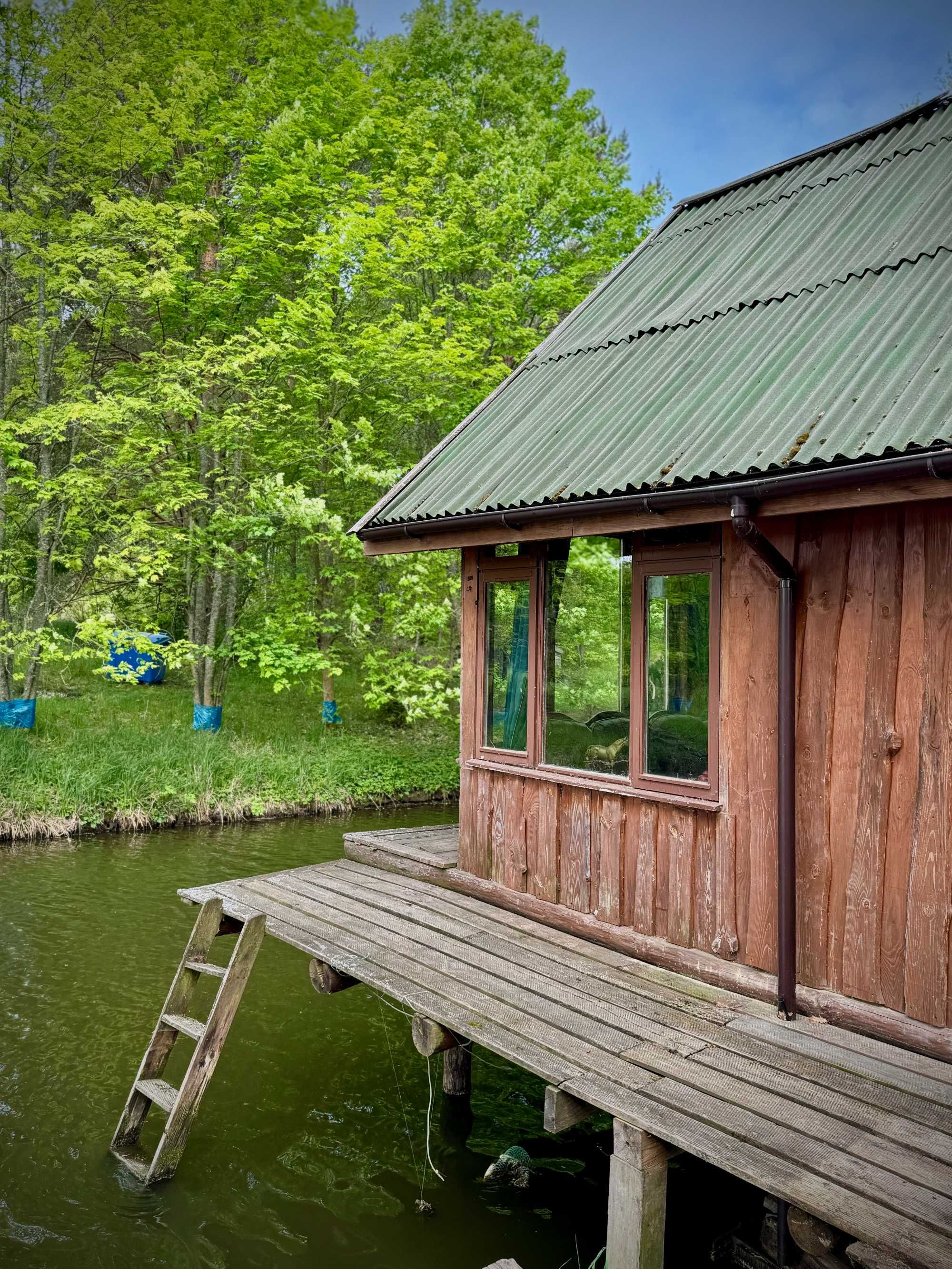 domek nad jeziorem w lesie, cisza, urlop. sauna, łowisko, grzyby,