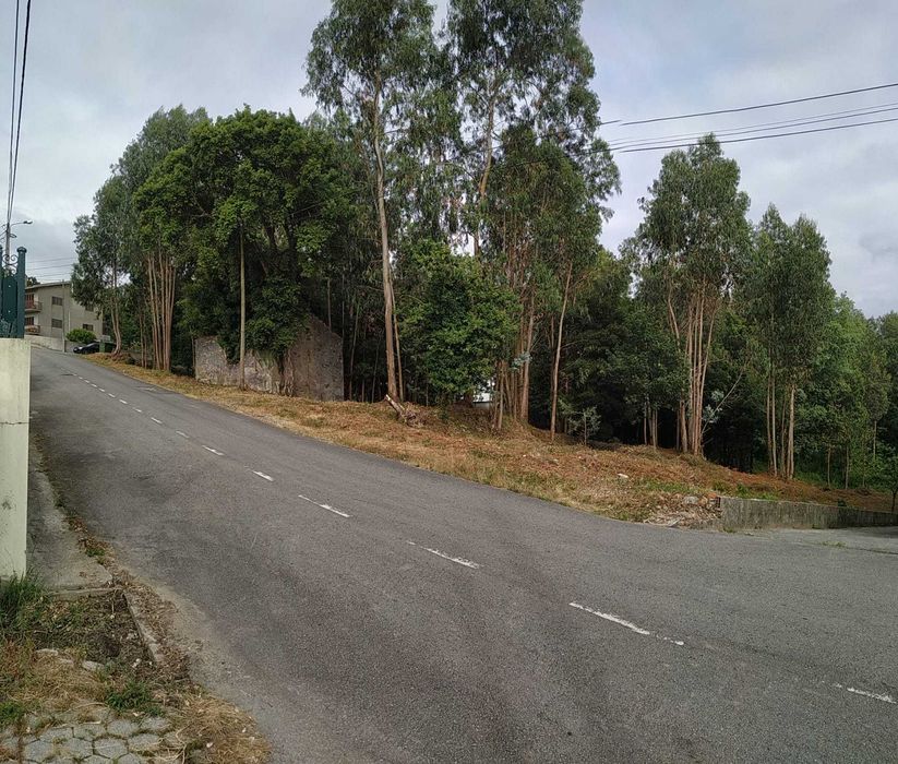 Terreno Rústico Ovar