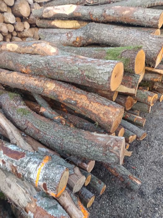 Drewno olcha / mozliwy transport/ zapraszam/ opal / do wedzenia