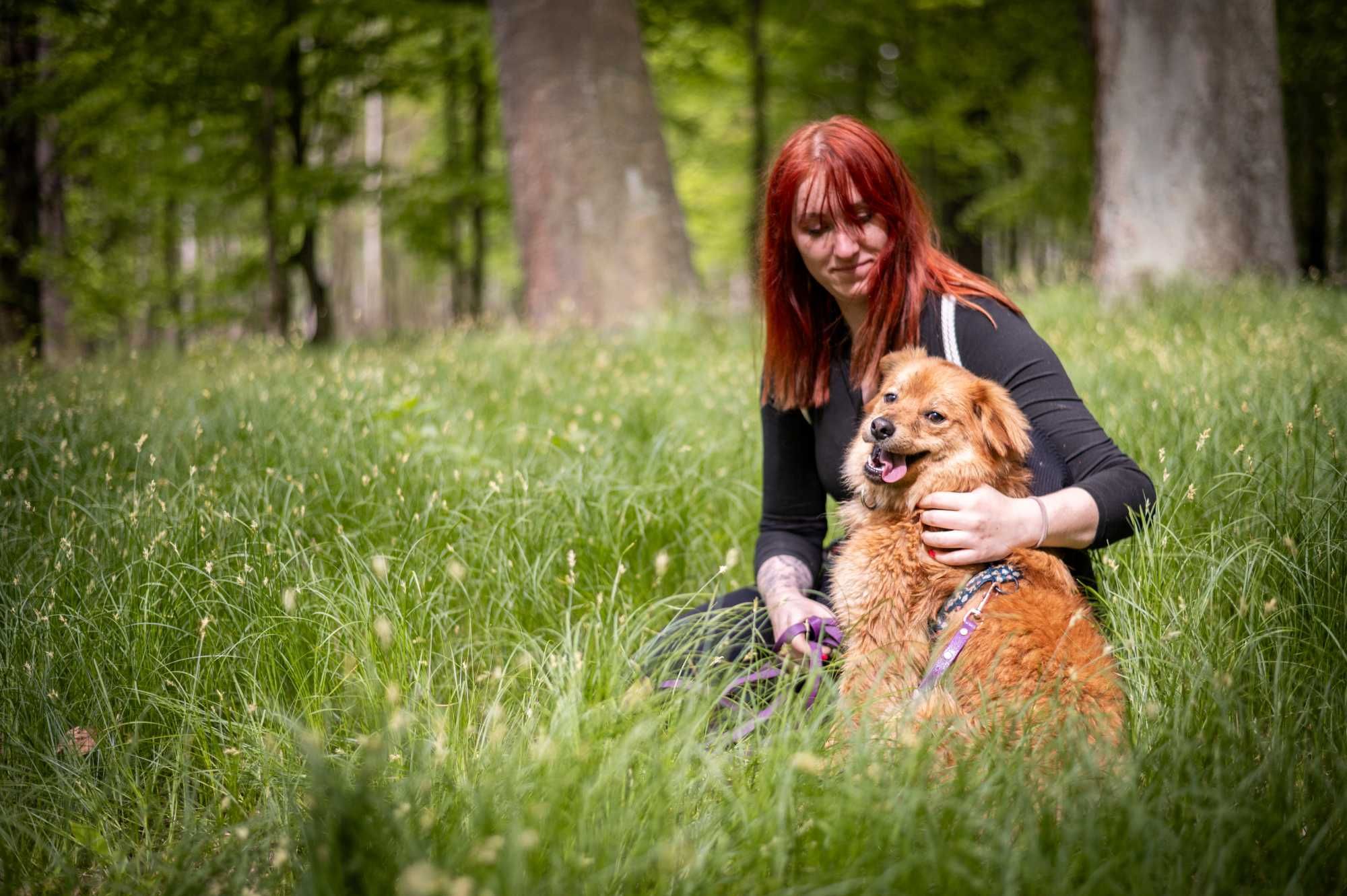 Pero - uroczy młody średniej wielkości kundelek do adopcji