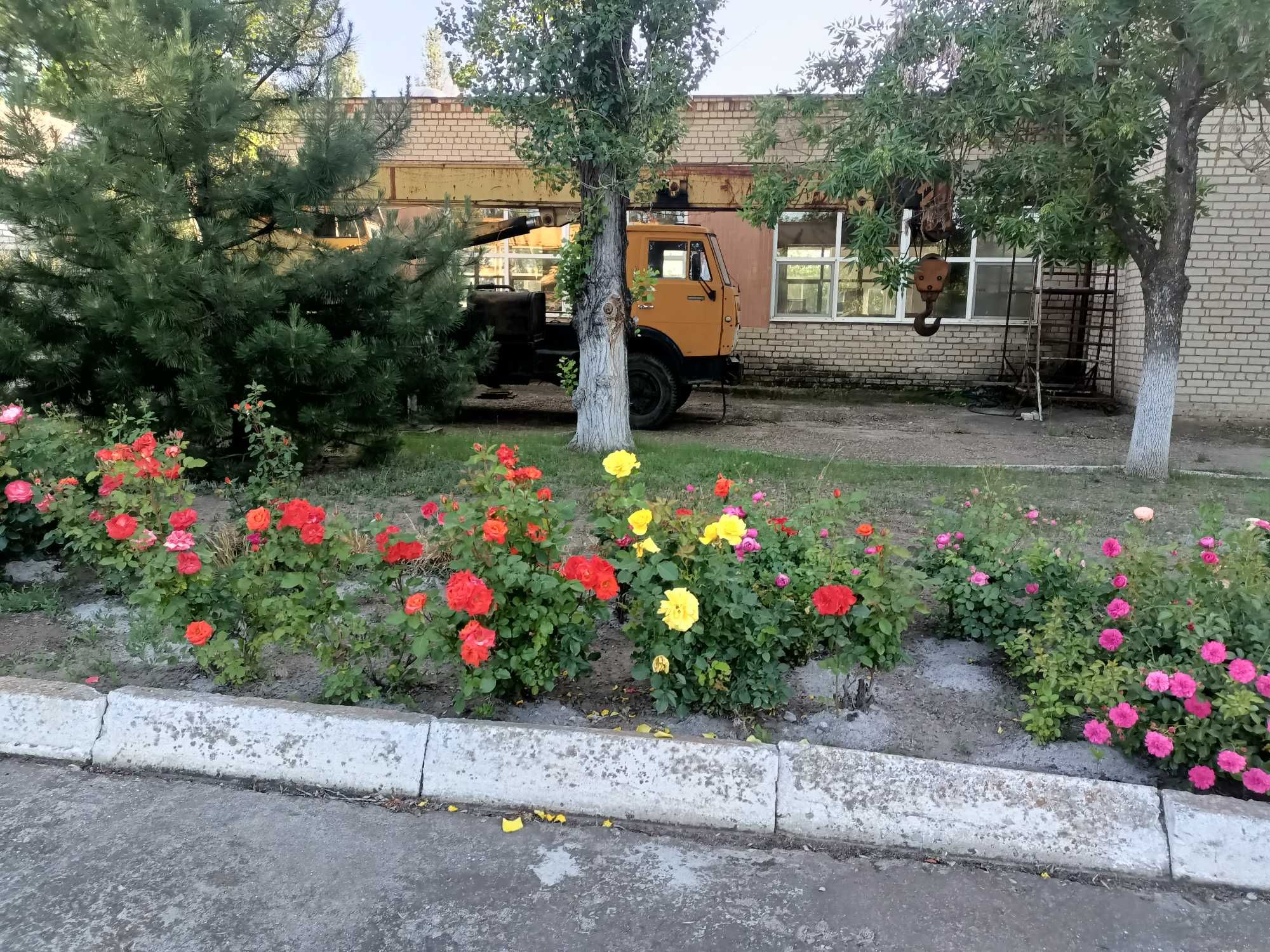 Оренда господарсько-адміністративного майнового комплексу, 4,2 га