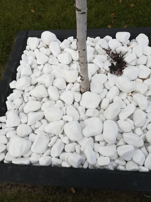 Kamień ogrodowy Kora kamienna, biała marianna