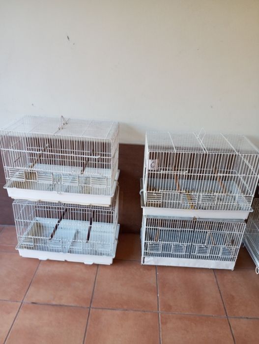 Gaiolas para pássaros