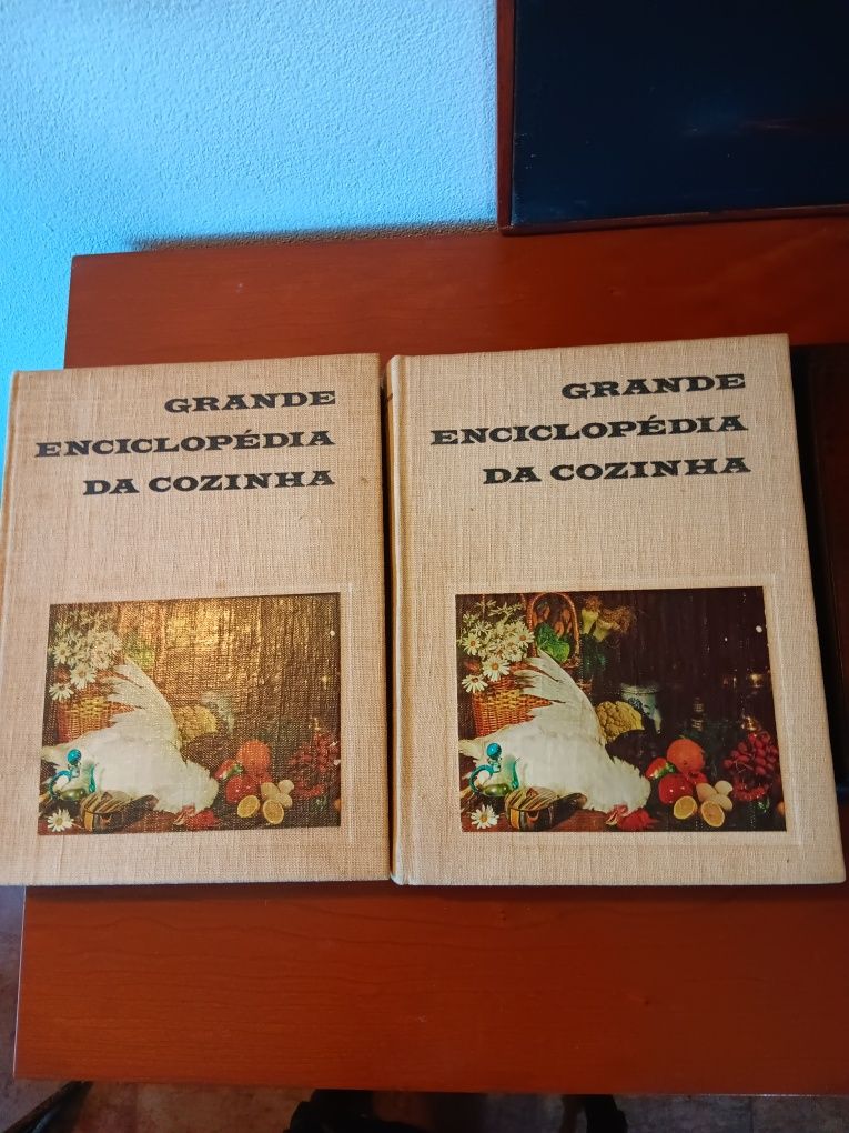 Grande Enciclopédia da Cozinha dois volumes