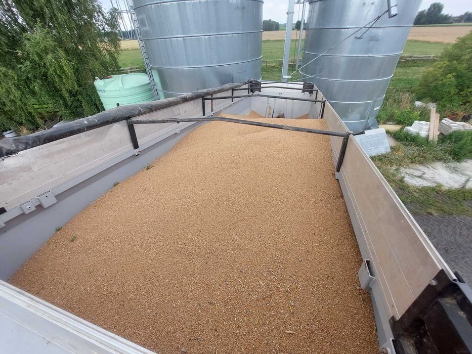Przyczepa wielton/fruehauf  PRC-3HP W34 DMC 34 Tony
