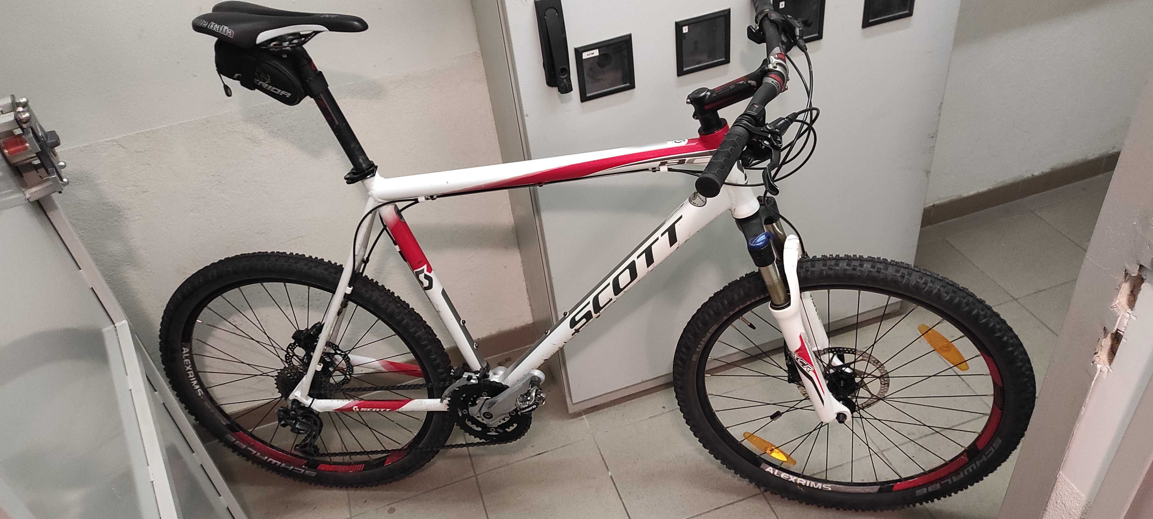 Scott Scale 80, rozmiar XXL