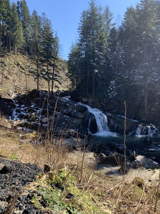 Відпочинок у Карпатах котеджі біля річки та лісу