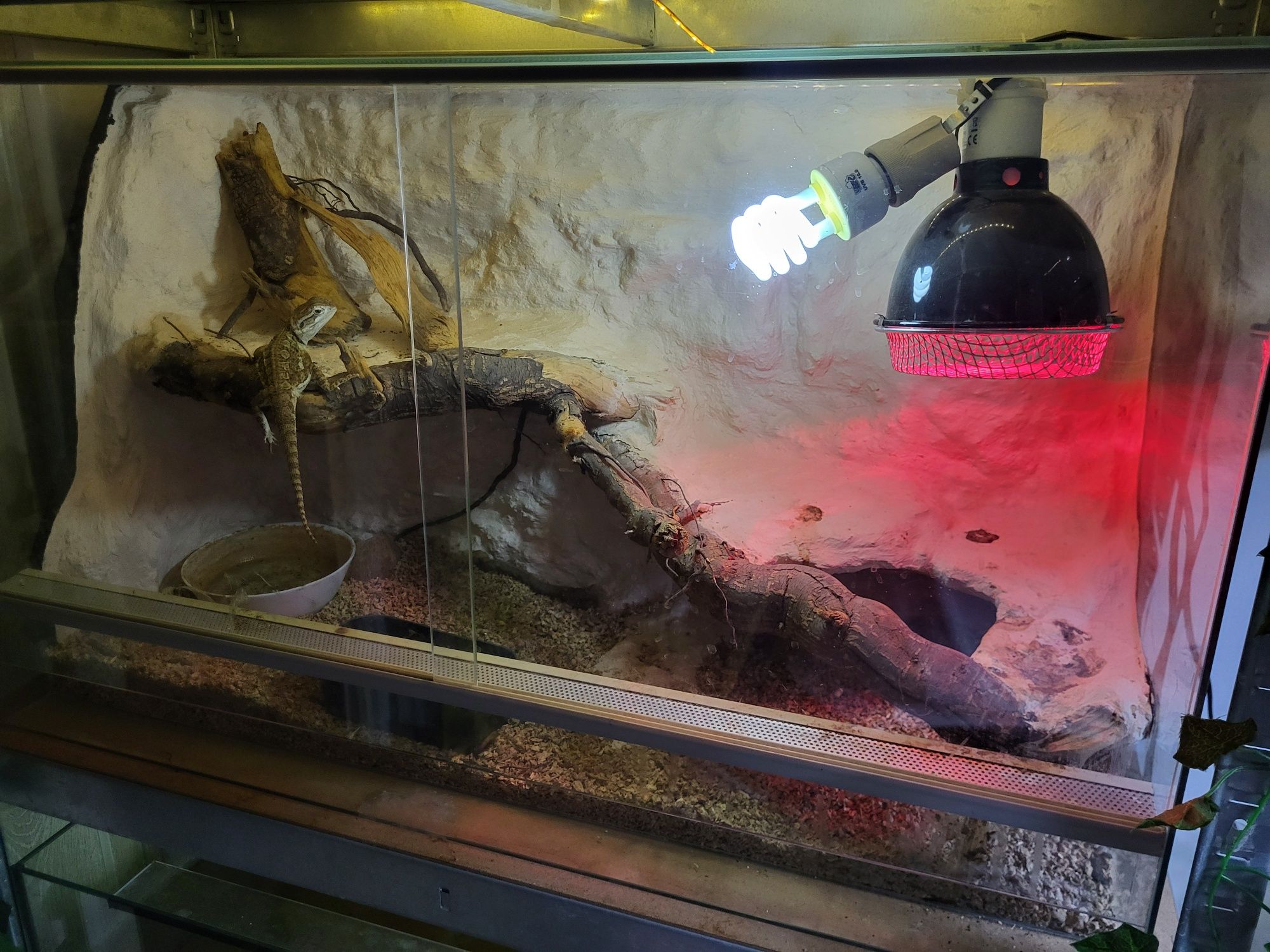 Terrarium ze ścianką strukturalną