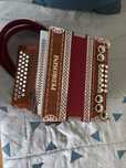 Concertina pedrosini