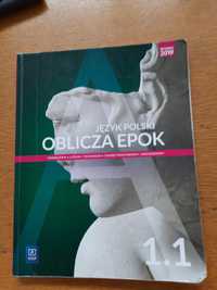 Język polski. Oblicza epok 1.1