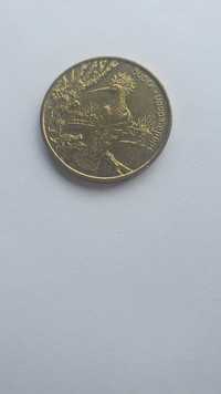 Moneta 2 złote Dudek