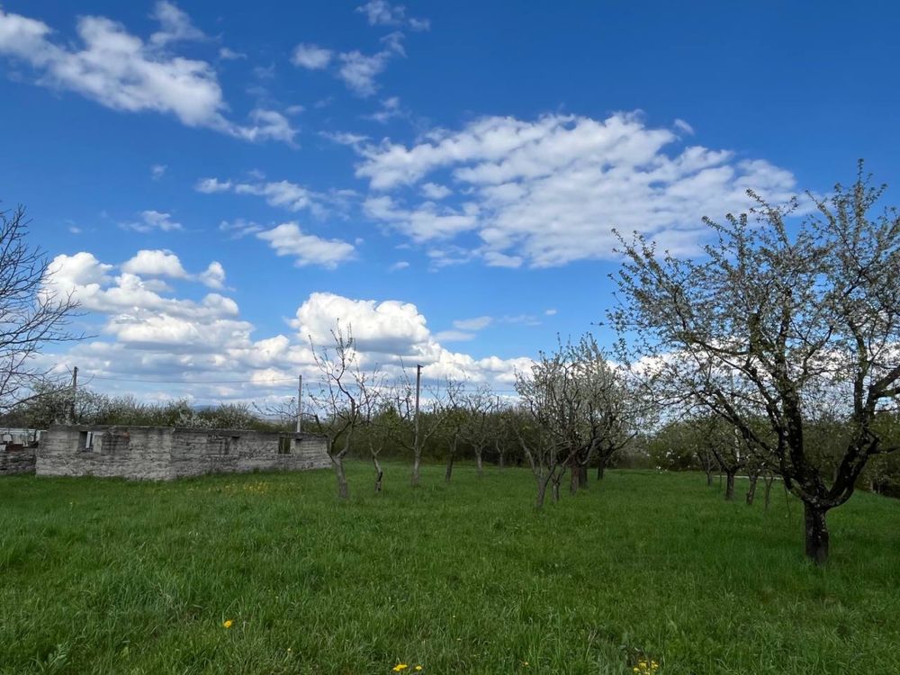 Земельна ділянка
