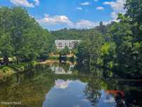 Hotel  Venda em São Pedro do Sul, Várzea e Baiões,São Pedro do Sul