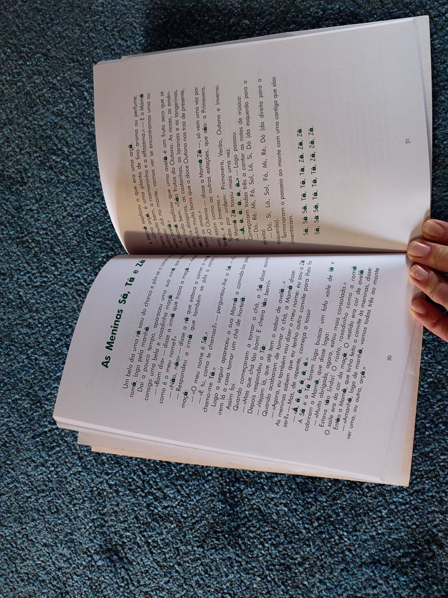 Vende-se livro O Melro de Aida Cordeiro