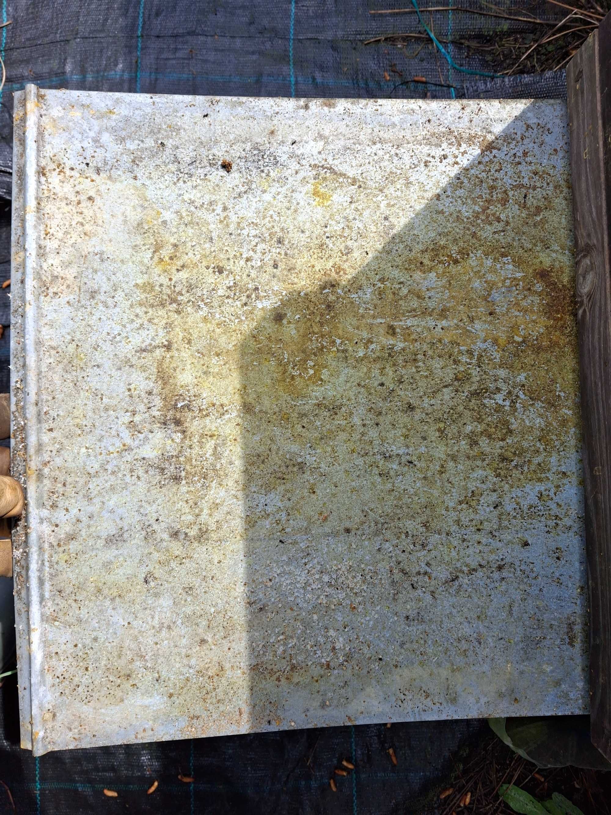 Tiras com glicerina e ácido oxálico para tratamento da Varroa