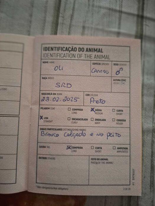 Preciso de um nova lar