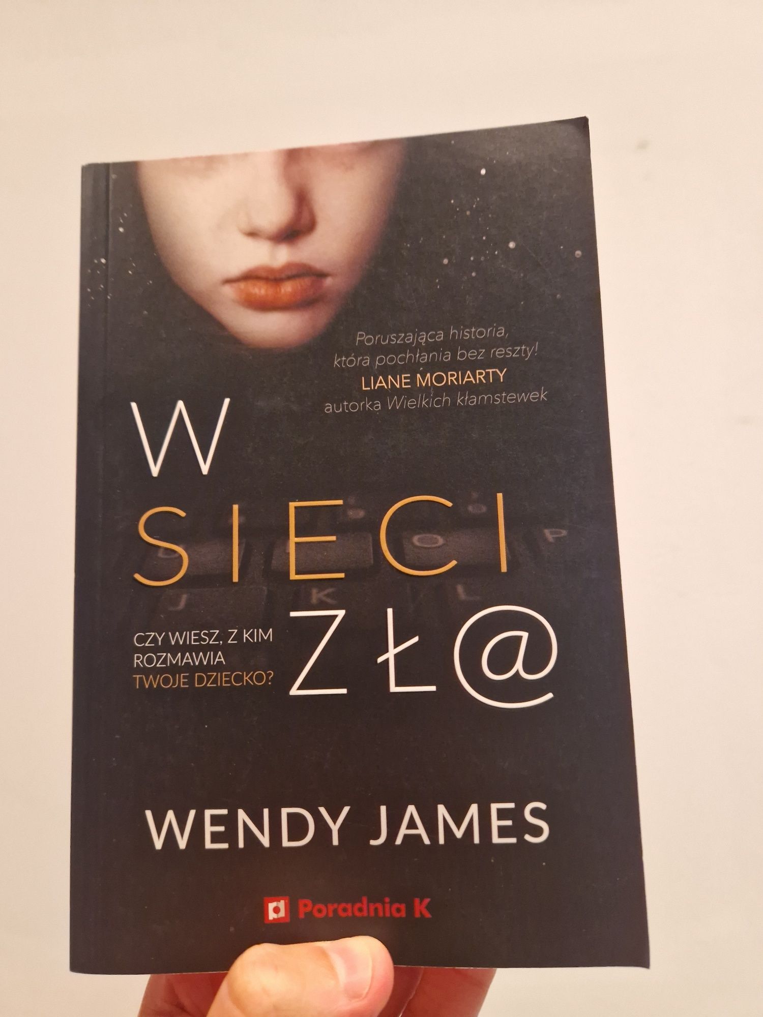 W sieci zła Książka Wendy James
