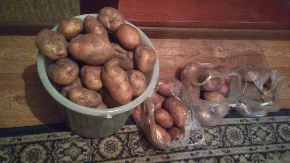 Продам картошка крупная.