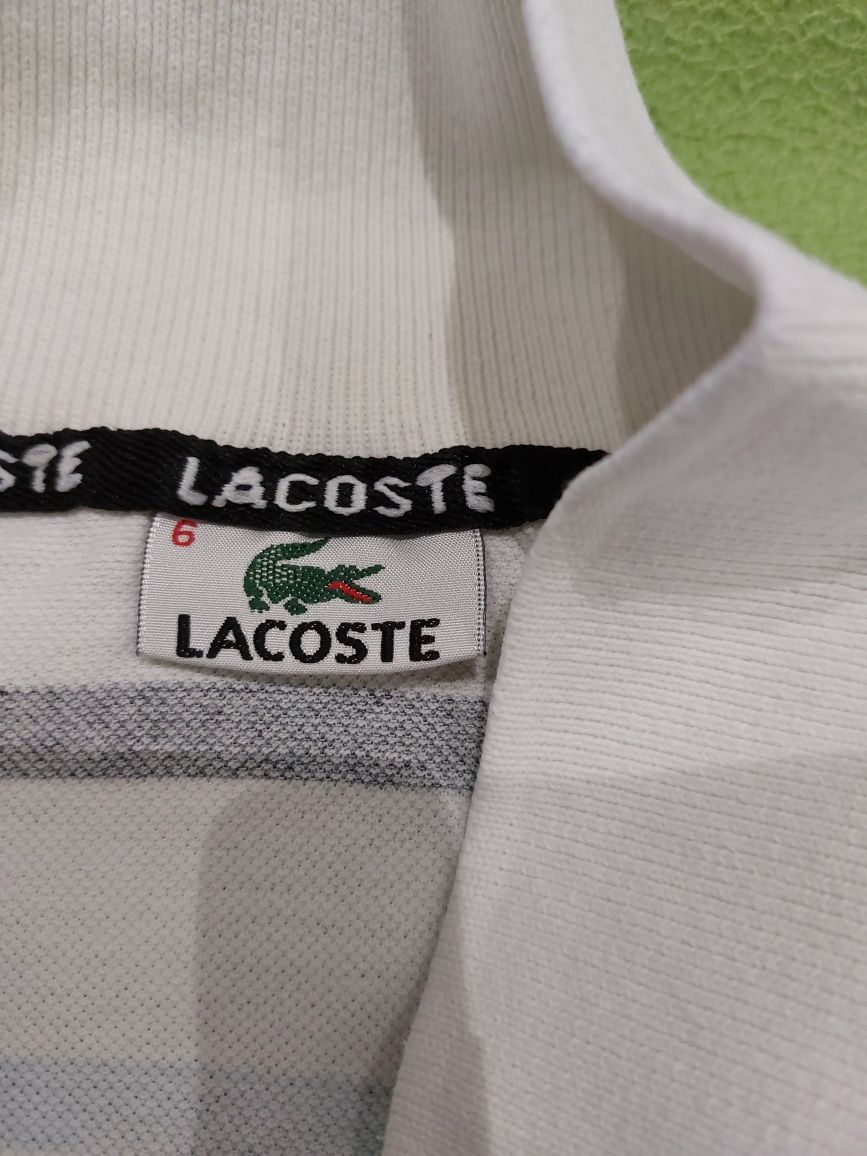 Koszulka  polo  z logo krokodyl