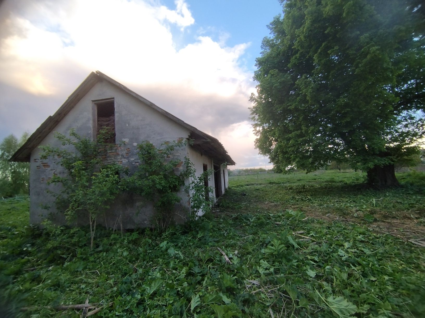 Нежитлове приміщення 65 кв.м