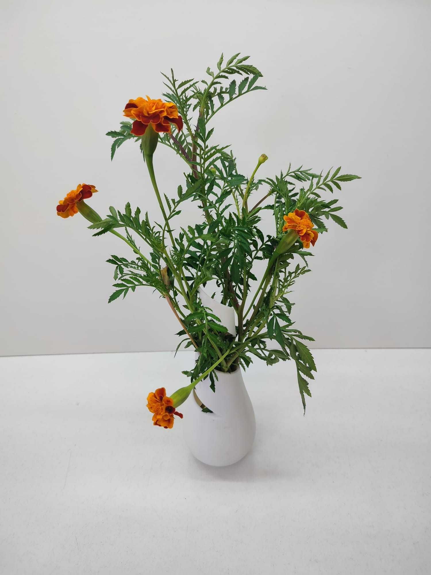 Vaso Branco em Espiral para Flores