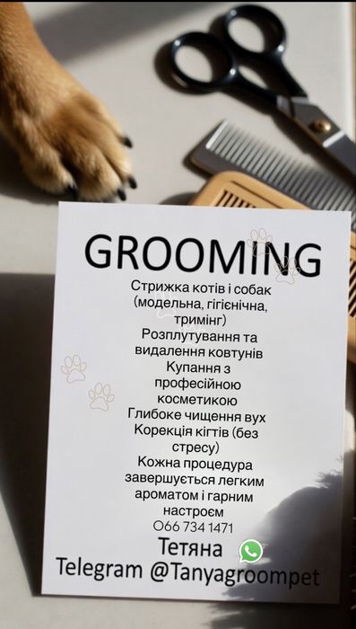 Грумінг | Професійний догляд для ваших улюбленців