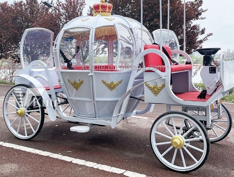 Coche Real Elétrico