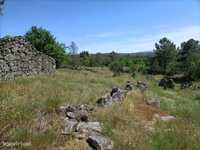 Ruinas para reconstrução