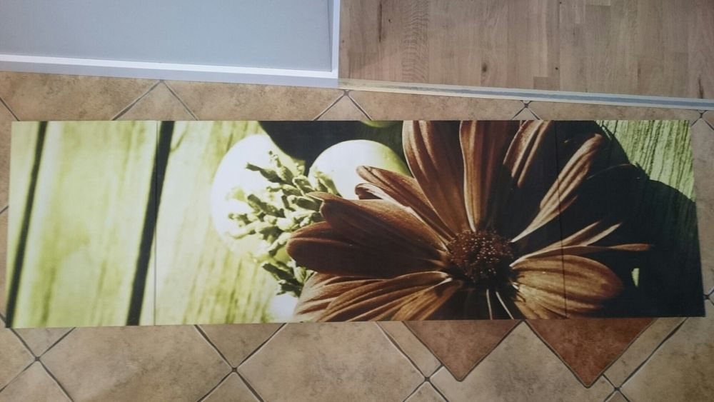 Obraz tryptyk 170x50