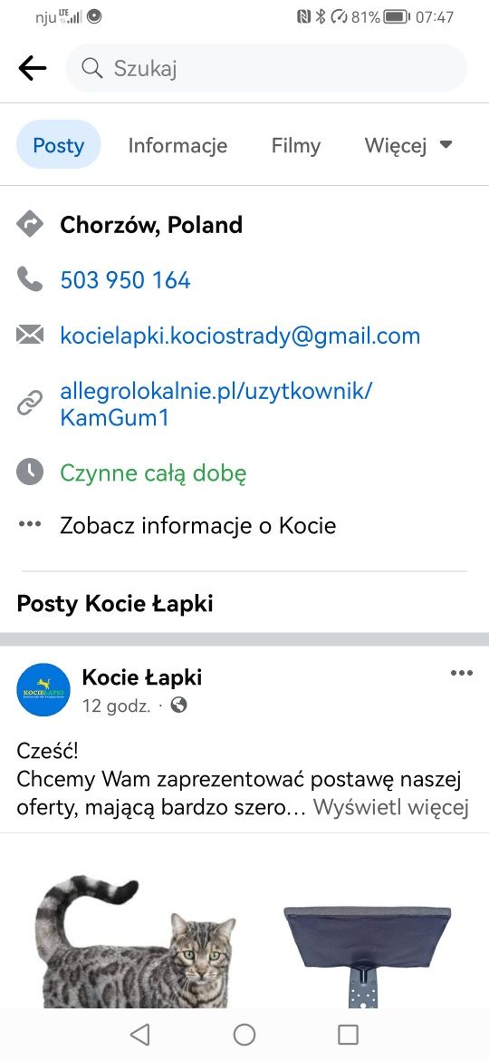 Kociostrada, zabawka dla kota