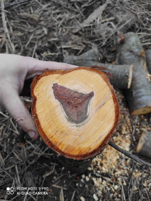 Акамуляторна пила щоточна  18 вольт комплект на фото .