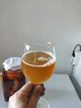 Kombucha de chá preto