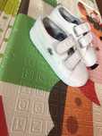 Оригінальні фірмові кросівки від Lacoste