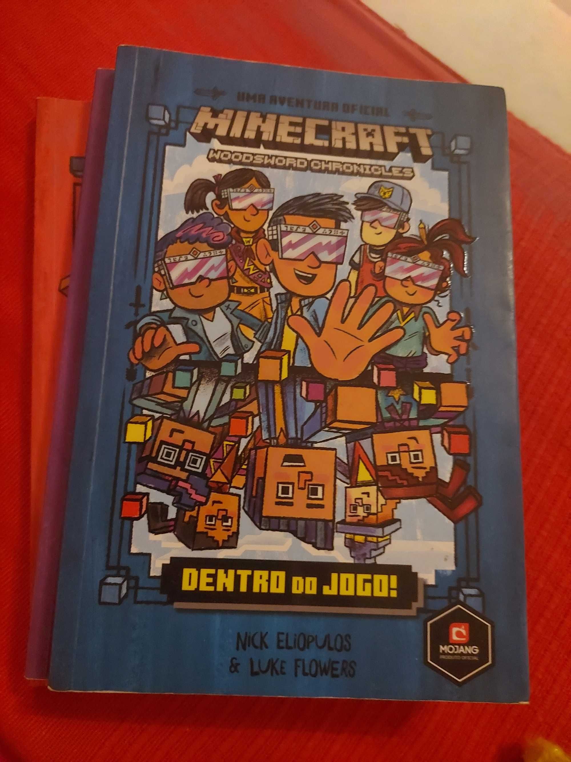 Livros minecraft