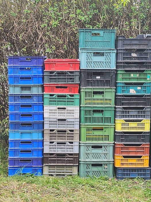 sprzedasz platomy na owoce  i warzywa