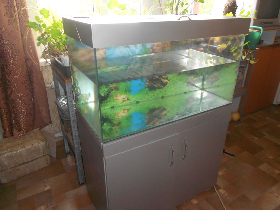 Аквариум 180 л с крышкой и тумбой, нужен ремонт. Самовывоз, самовынос.
