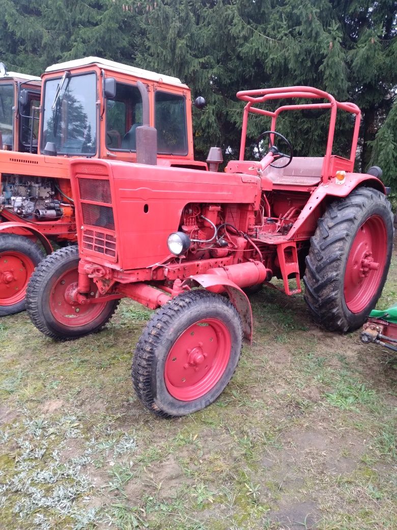 MTZ Belarus 80 KM z ładowaczem czołowym Orbitrol