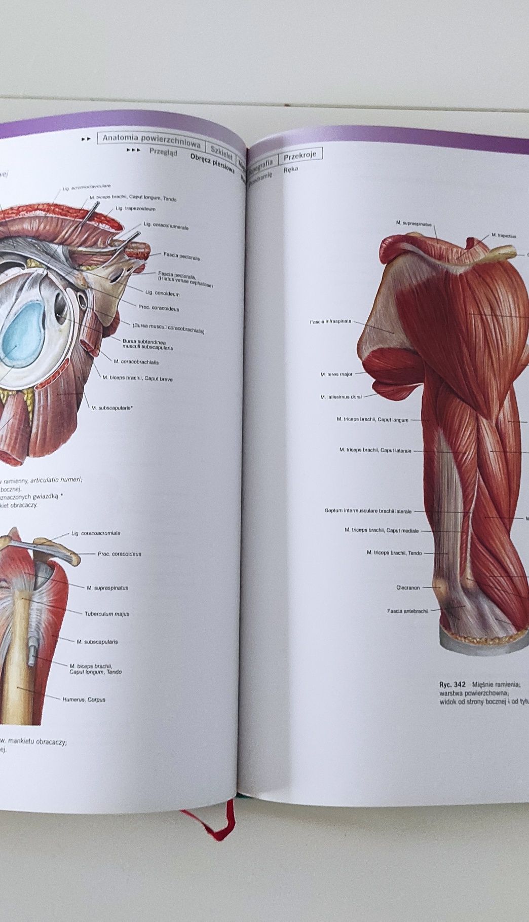 Sobotta Atlas anatomii człowieka. Tom 1, stan bardzo dobry