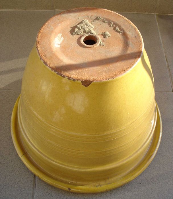 Pęknięta, żółta, duża, używana doniczka. Odbiór osobisty.