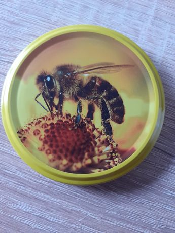 Pszczoły wraz z ulami