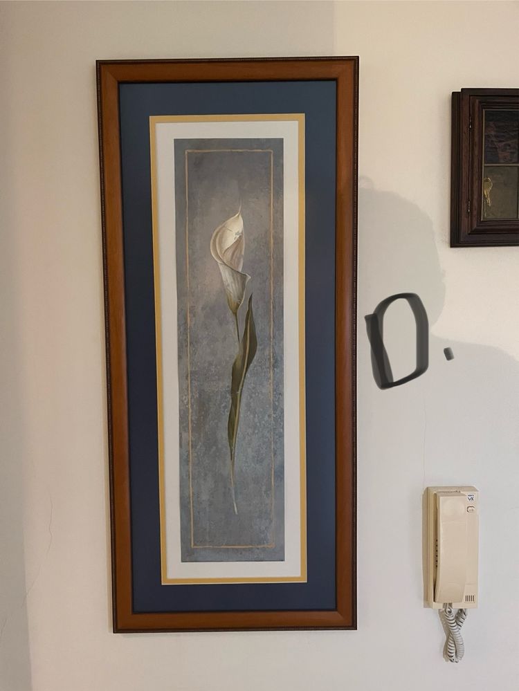 Quadros em modulras [Oportunidade]